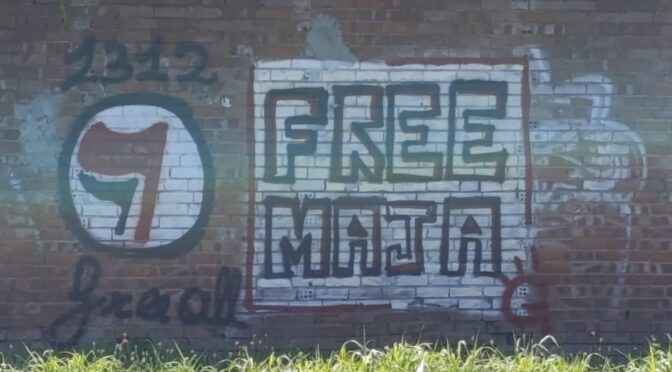 FREE MAYA